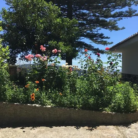 Casa Paca Perea Malaga